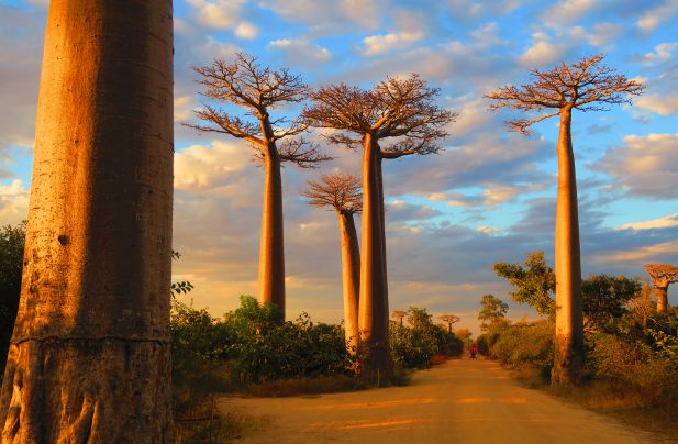 Madagascar